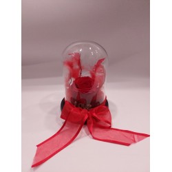 Forever Rose Κόκκινο σε γυάλα