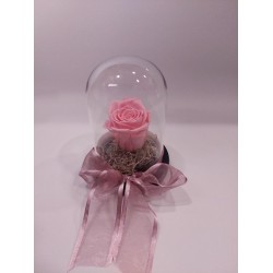Forever Rose Ροζ σε Γυάλα 