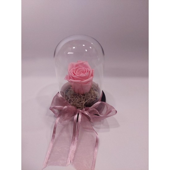 Forever Rose Ροζ σε Γυάλα 